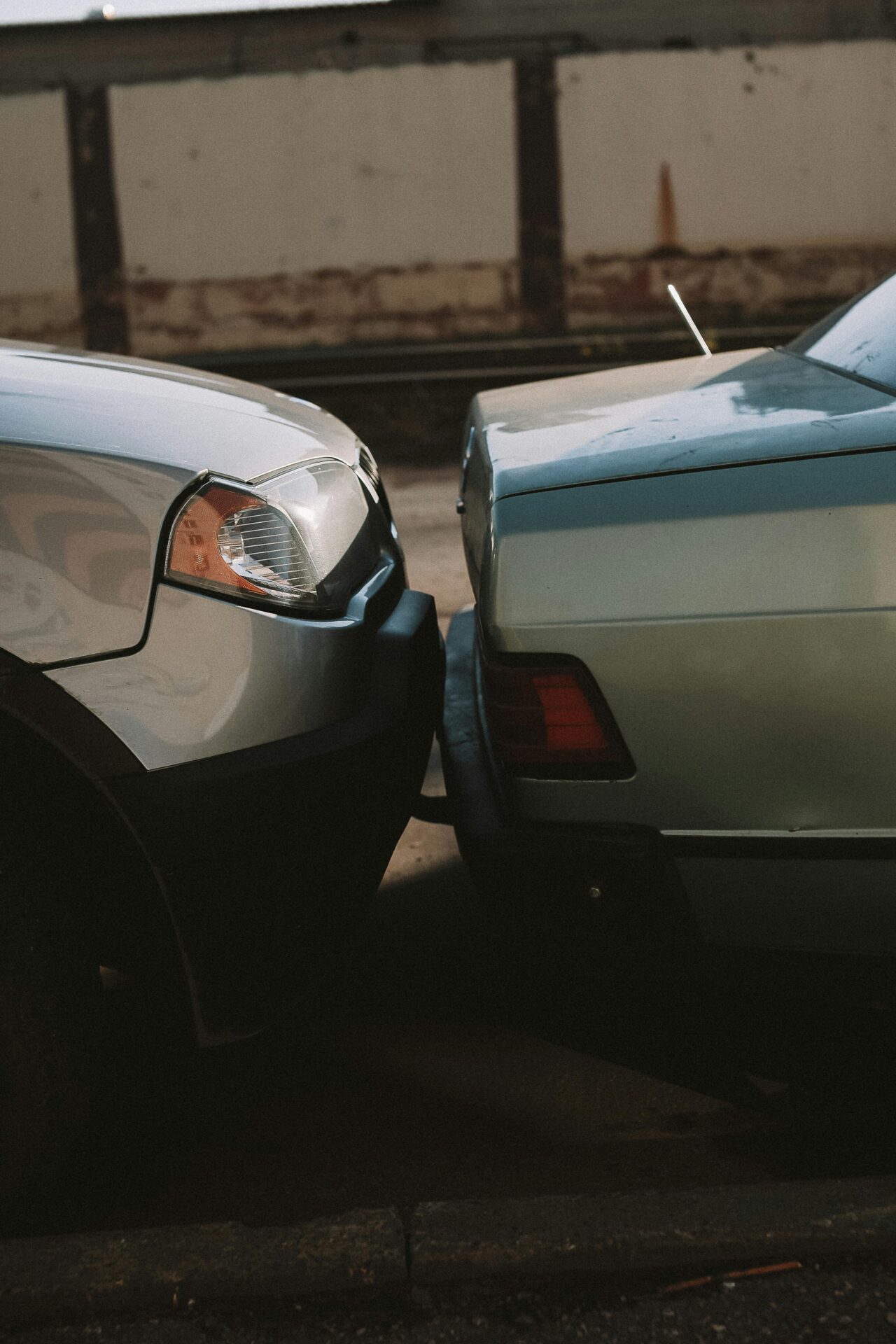 pexels-nikitaxnikitin-10102313